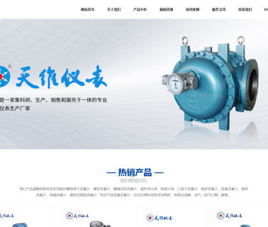 Anhui Tianwei Instrument toyostove kerosene