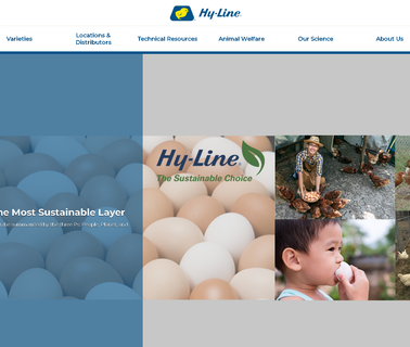 Hy-Line International seeds breeding