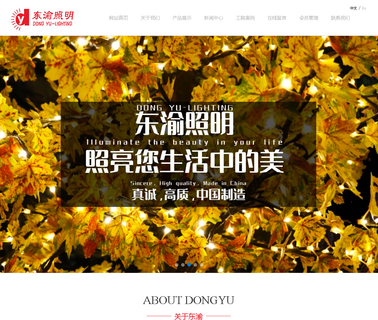 Zhongshan Dongyu Lighting Factory lighting factory