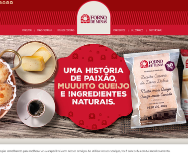 Forno De Minas Usa, Inc: Profile forno bravo