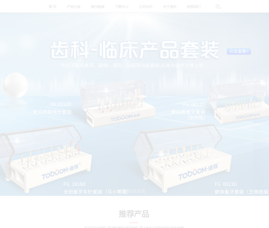 Toboom Shanghai Precise Abrasive Tool rotary files
