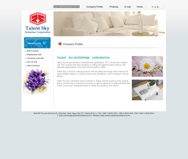 Talent Sky Enterprise Corporation Taiwan balls field