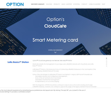 Option Wireless Technolog access wan