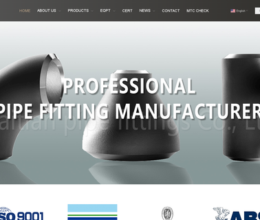 Hebei Haitian Pipe Fittings socket welded