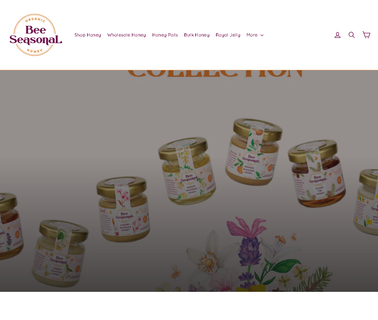 Bee Seasonal discovery search