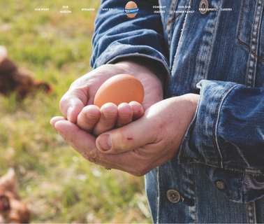 Egg Innovations/Blue Sky Family Farms food ingredients food acids