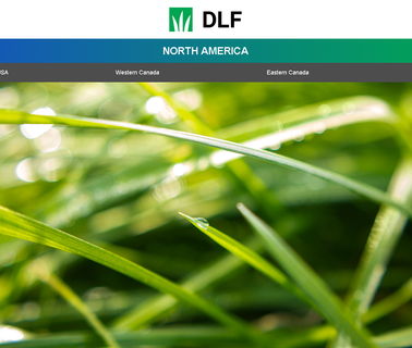Dlfiscom bermuda sod