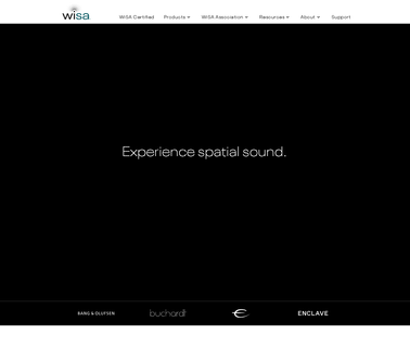 Wireless Speaker and Audio Wisa Association build music
