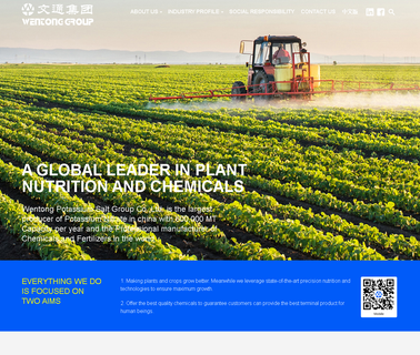 Wentong Chemicals ammonium nitrate