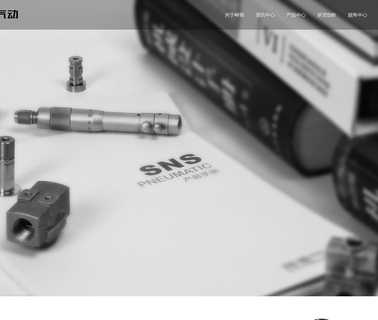China Sns Pneumatic angle valve filter