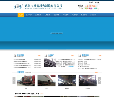 Wuhan Linmei Head Plate ansi steel head