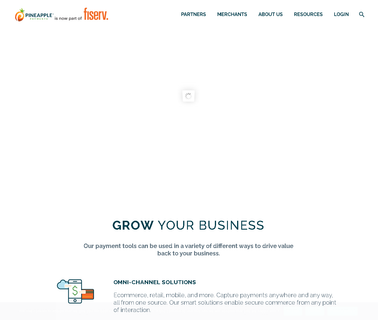 Pineapple Payments credit solutions