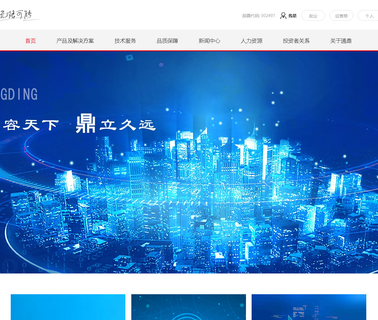 Jiangsu Tongding Optic-Electronic Stock buried