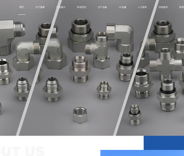 Yuyao Tongtai Hydraulic Pipe Fittings jic fitting