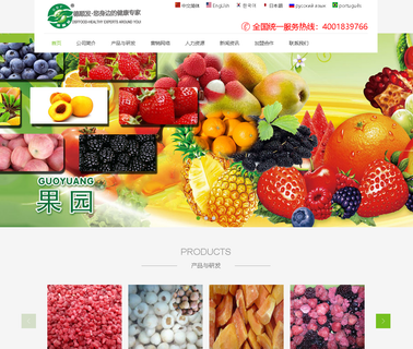 Qingdao Dsf Foodstuff fruits berries