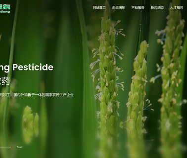 Jiangsu Ruidong Pesticide appearance industrial