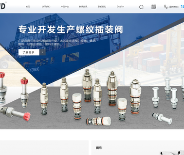 Ningbo Longteng Bearings & Hydraulic cartridge check
