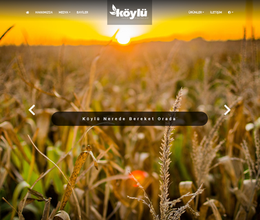 Koylu Agricultural Machines cultivators subsoilers