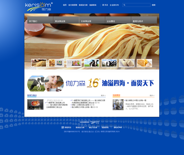 Kerisom Food Enterprises Wuxi bouillon seasoning