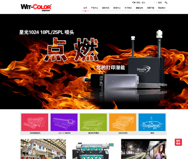 Shanghai Wit-Color Digital Science head solvent printer