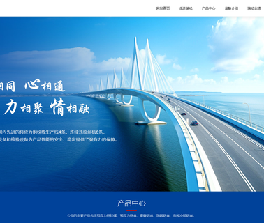 Qingdao Ruisong Wire Rope spring rope