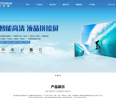Guangzhou Watchman Electronic Technology ccd outdoor camera