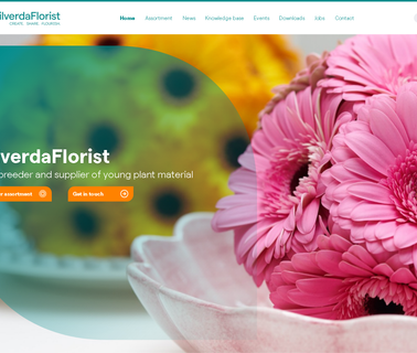Hilverdakooij Bv plants tissue culture