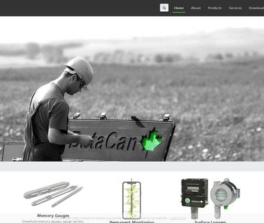 Datacan Services Corp artificial red