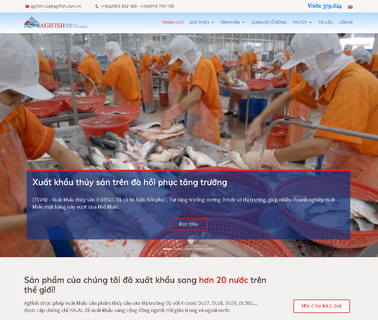 An Giang Fisheries Joint fillets