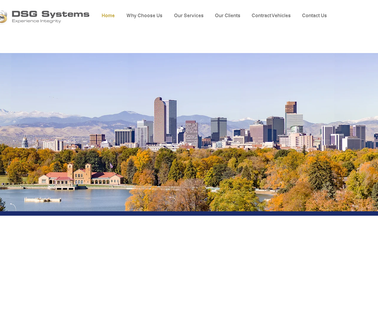 Dsg Systems Welcome help programming