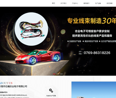 Zhiye Electronic sata power