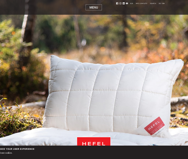 Hefel Textil Ag duvets goose