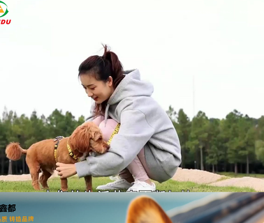 Weifang Xindu Foodstuffs dog dental