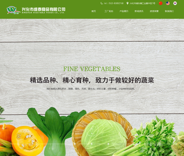 Xinghua Vegetable Foods chive