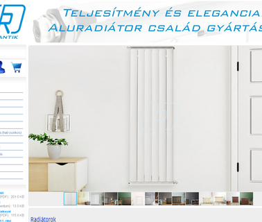 Romantik 2000Kft fireplace decorative