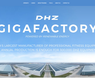 Shandong Dahuzi Fitting Equipment commercial fitness gym equipment