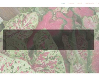 Home - Abbott-Ipco plants tissue culture