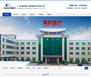 Guangdong Haiou Medical Apparatus Stock disable syringe