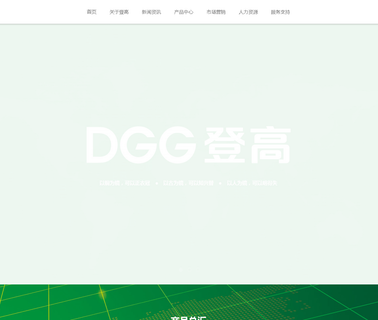 Denggao Electrical arrester insulator