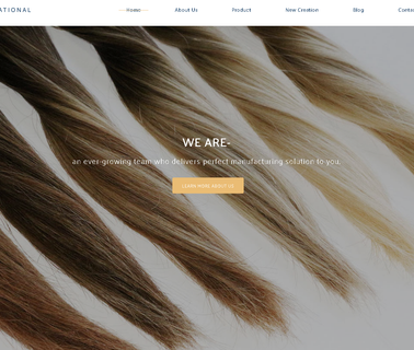 Kingshow International full lace wig jewish