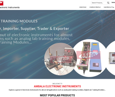 Ambala Electronic Instruments garden