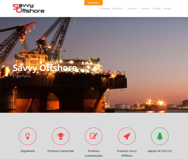 Savvy Offshore services