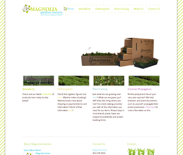 Magnolia Gardens Nursery plants tissue culture