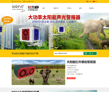 Shenzhen Ruocin Technology lantern solar wall light