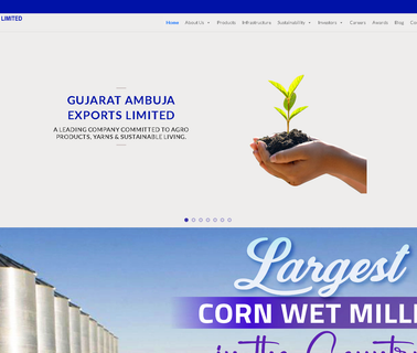 Gujarat Ambuja Exports dextrose