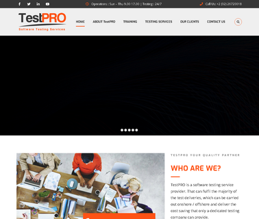 Testpro For Software Testing Services level mobile