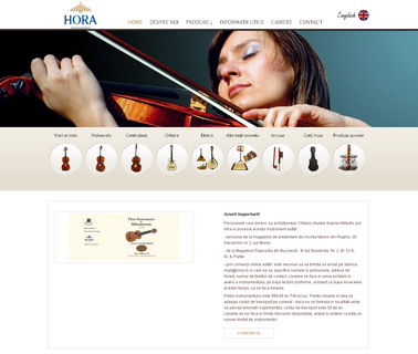 Hora S.A. cases violin