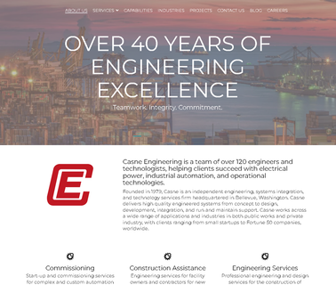 Casne Engineering - electrical specifications