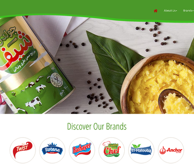 Al Sakr For Food Industries square cheese