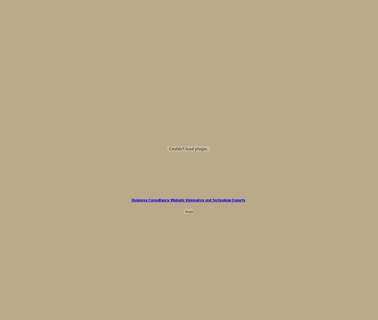 Business Consultants and Technology Experts computer experts